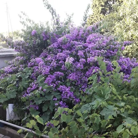 Blue Harbour No. 15 Apartman *