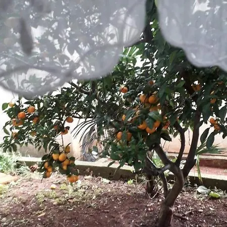 Blue Harbour No. 15 Διαμέρισμα *