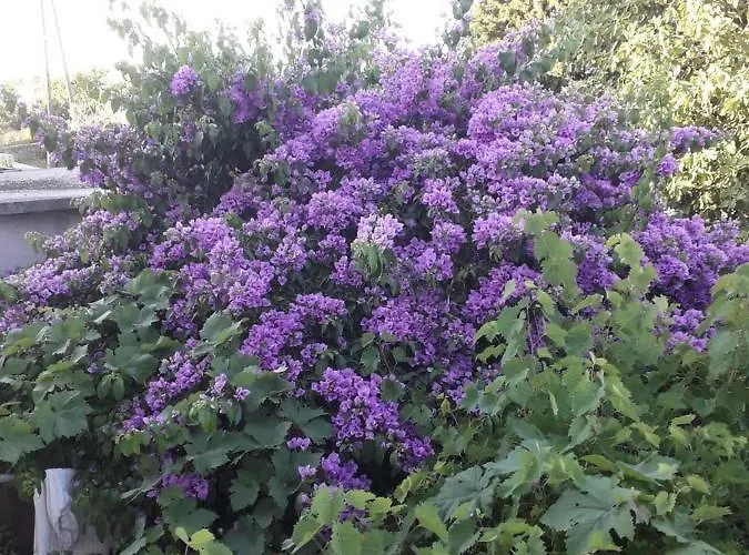 Blue Harbour No. 15 Apartment *