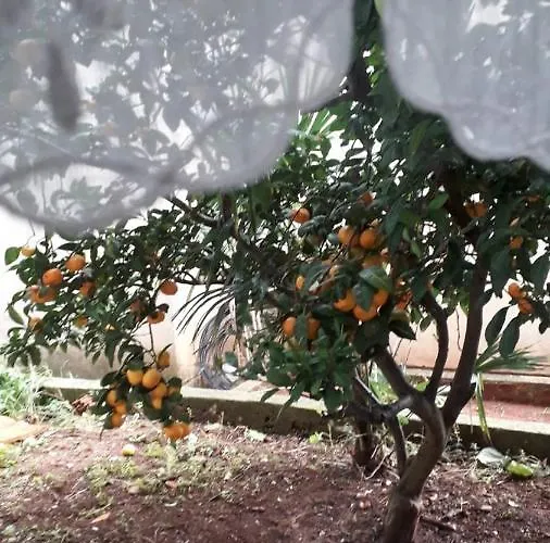 Blue Harbour No. 15 Apartment *